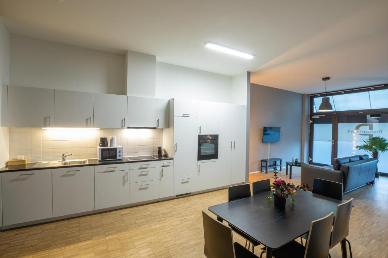 Proapartment 바젤 외부 사진